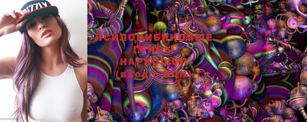 spice Михайлов