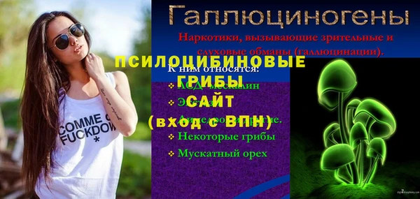 spice Михайлов