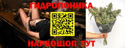 кокс Дубна