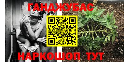 СК Донской