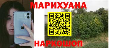 spice Кингисепп
