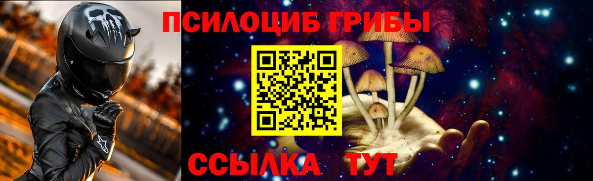 Галлюциногенные грибы мицелий Каспийск